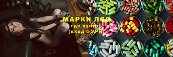 PSILOCYBIN Алексеевка